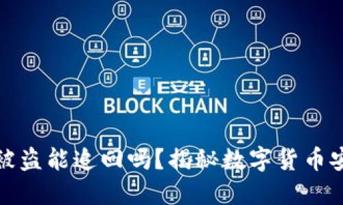 TP钱包里的币被盗能追回吗？揭秘数字货币安全与追回机制