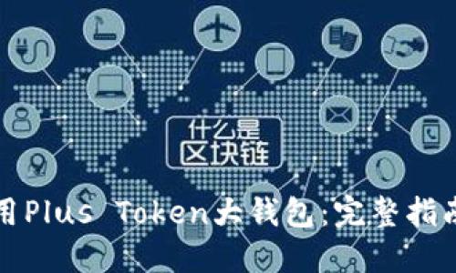 如何安全使用Plus Token大钱包：完整指南与最佳实践