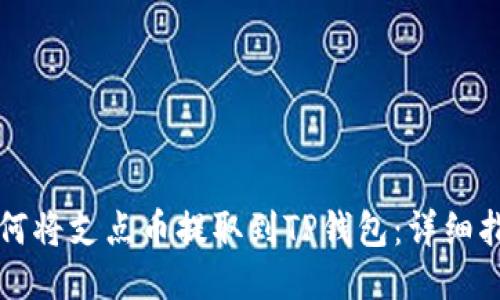 如何将支点币提取到TP钱包：详细指南