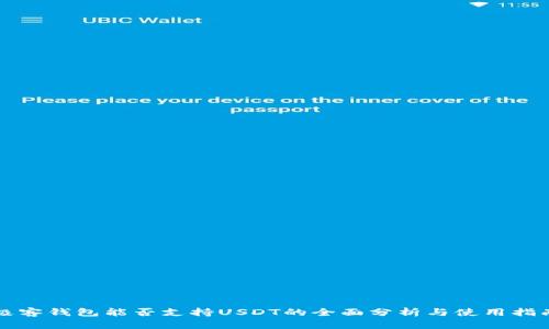 极客钱包能否支持USDT的全面分析与使用指南