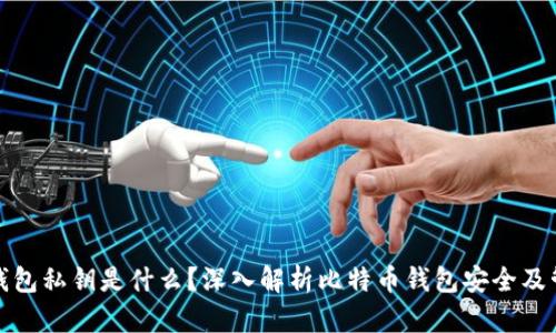 比特币钱包私钥是什么？深入解析比特币钱包安全及管理策略