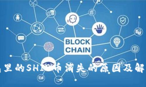 TP钱包里的SHIB币消失的原因及解决方法