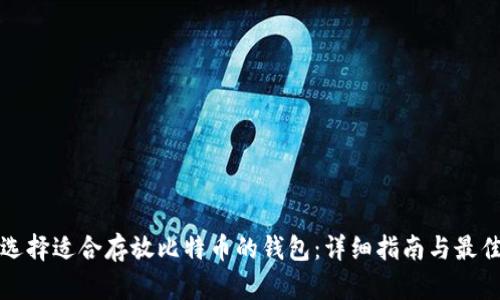 如何选择适合存放比特币的钱包：详细指南与最佳实践