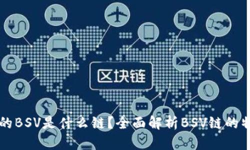 TP钱包中的BSV是什么链？全面解析BSV链的特点和应用