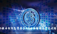 SHIB提币到钱包需要多久？全面解析与常见问题解