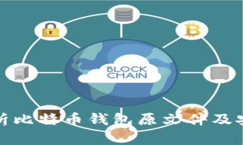 全面解析比特币钱包原文件及安全管理