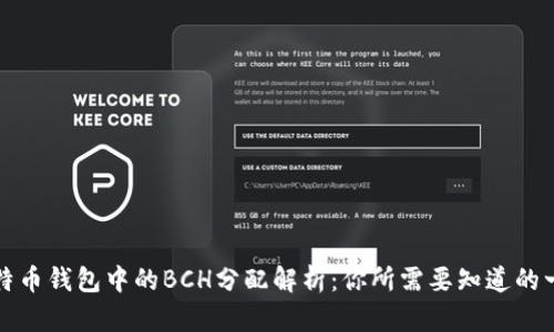 比特币钱包中的BCH分配解析：你所需要知道的一切