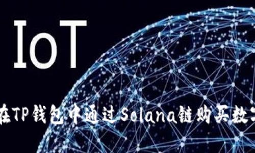 如何在TP钱包中通过Solana链购买数字货币