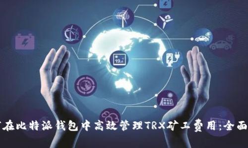 如何在比特派钱包中高效管理TRX矿工费用：全面指南