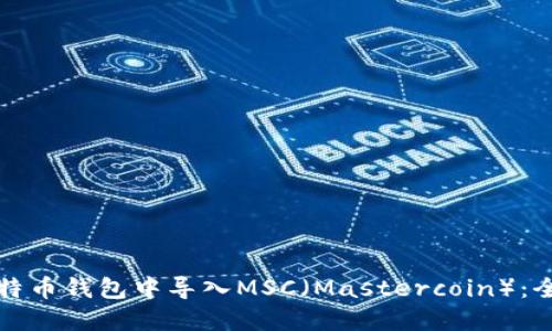 如何在比特币钱包中导入MSC（Mastercoin）：全方位指南