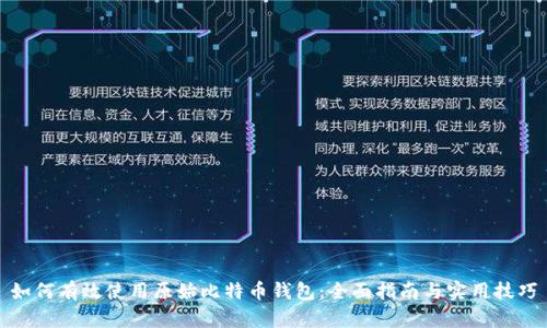 如何有效使用原始比特币钱包：全面指南与实用技巧