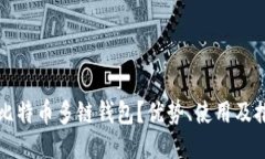 什么是比特币多链钱包？