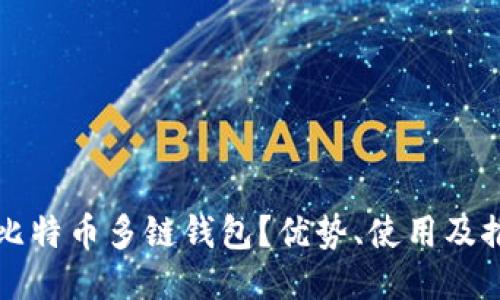 什么是比特币多链钱包？优势、使用及推荐指南