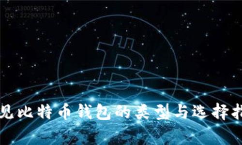 常见比特币钱包的类型与选择指南