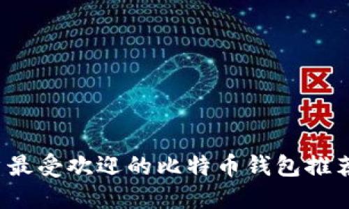 国内iOS用户最受欢迎的比特币钱包推荐与使用指南