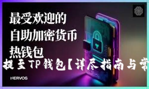如何将OK币提至TP钱包？详尽指南与常见问题解答