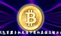   TP钱包苹果手机无法下载