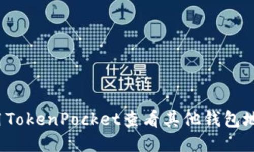 如何使用TokenPocket查看其他钱包地址信息？