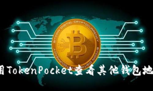 如何使用TokenPocket查看其他钱包地址信息？