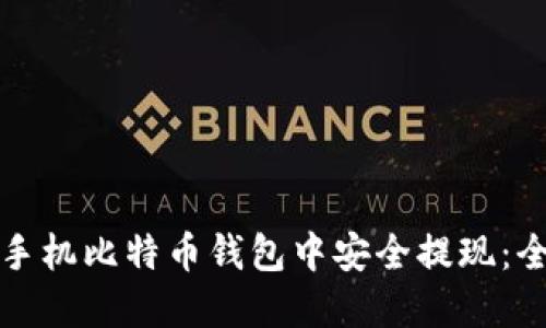 如何在手机比特币钱包中安全提现：全面指南