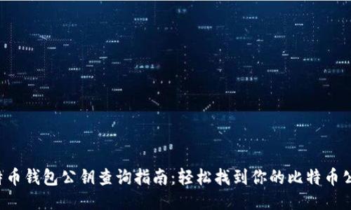 比特币钱包公钥查询指南：轻松找到你的比特币公钥！