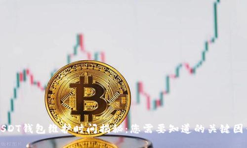 USDT钱包维护时间揭秘：您需要知道的关键因素