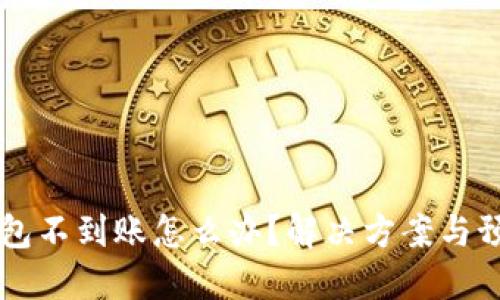 比特币转钱包不到账怎么办？解决方案与预防措施一览