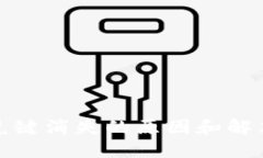 TP钱包闪兑键消失的原因和