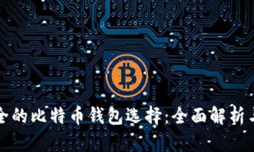 最安全的比特币钱包选择：全面解析与推荐