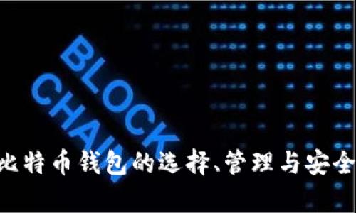 深入解析比特币钱包的选择、管理与安全：新手指南