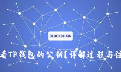 如何查看TP钱包的公钥？详解过程与注意事项