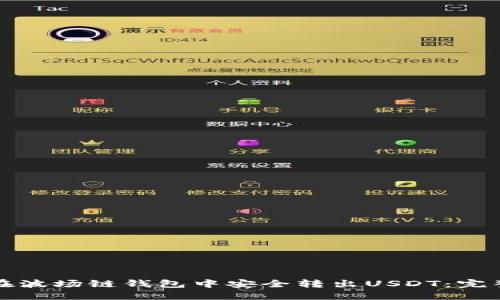 如何在波场链钱包中安全转出USDT：完整指南