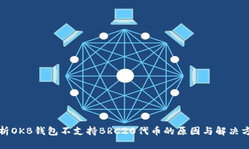 解析OKB钱包不支持BRC20代币的原因与解决方案