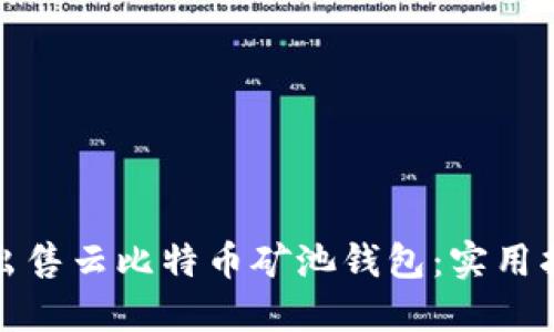 如何成功出售云比特币矿池钱包：实用指南与技巧