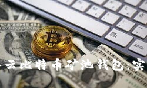 如何成功出售云比特币矿池钱包：实用指南与技巧