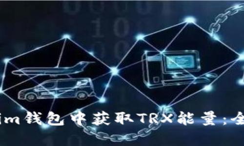如何在Token.im钱包中获取TRX能量：全面指南与技巧