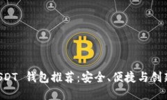 主流 USDT 钱包推荐：安全
