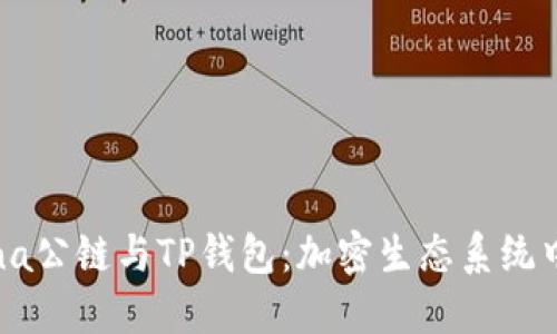 深入理解Solana公链与TP钱包：加密生态系统中的创新与优势