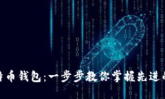 : 如何成功导入比特币钱包