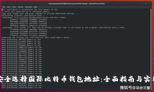 如何安全选择国际比特币钱包地址：全面指南与实用技巧