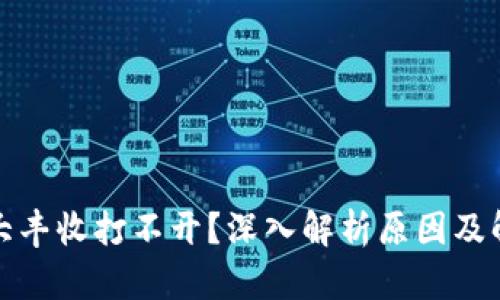 TP钱包大丰收打不开？深入解析原因及解决方案