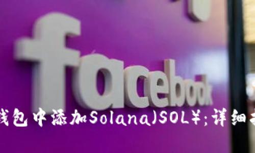 如何在TP钱包中添加Solana（SOL）：详细指南与技巧