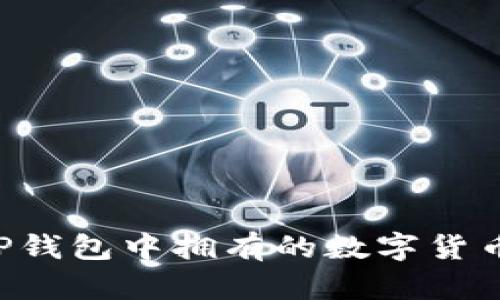 如何查看TP钱包中拥有的数字货币：全面指南