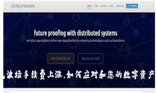 TP钱包波场手续费上涨，如何应对和您的数字资产管理？