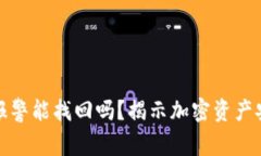 TP钱包被盗报警能找回吗？