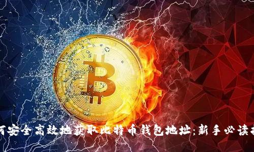如何安全高效地获取比特币钱包地址：新手必读指南