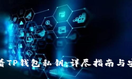 如何查看TP钱包私钥：详尽指南与安全建议