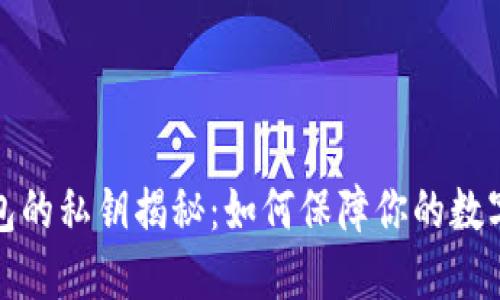 比特币钱包的私钥揭秘：如何保障你的数字资产安全