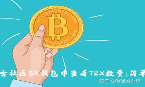 如何在盘古社区BK钱包中查看TRX数量：简单实用教程