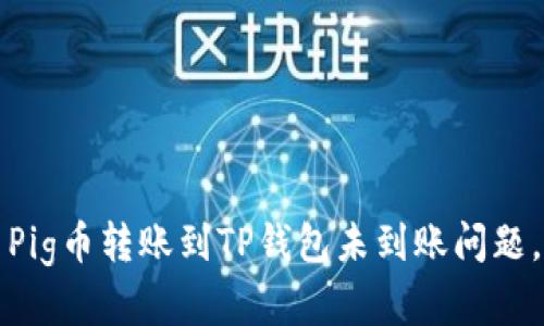 如何解决Pig币转账到TP钱包未到账问题，全面指南